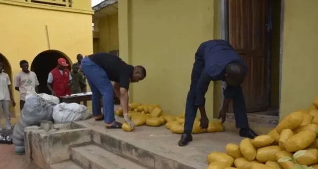 Army hands over suspect, 176kg of Indian hemp to NDLEA in Ogun