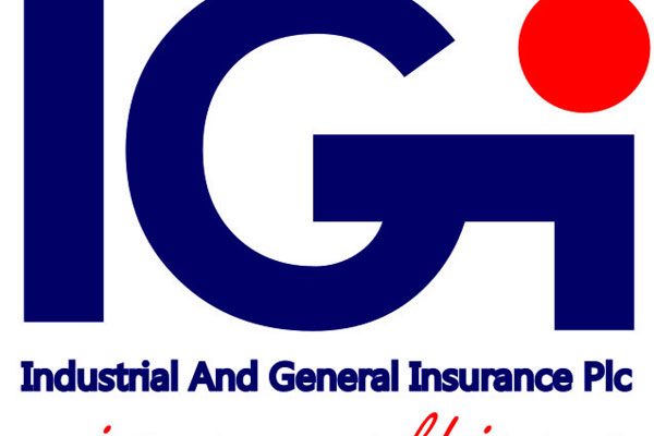 Court halts IGI Plc’s AGM by Interim Injunction