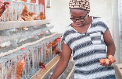 How youth, women are earning living through LIFE-ND-assisted agric projects in N/Delta