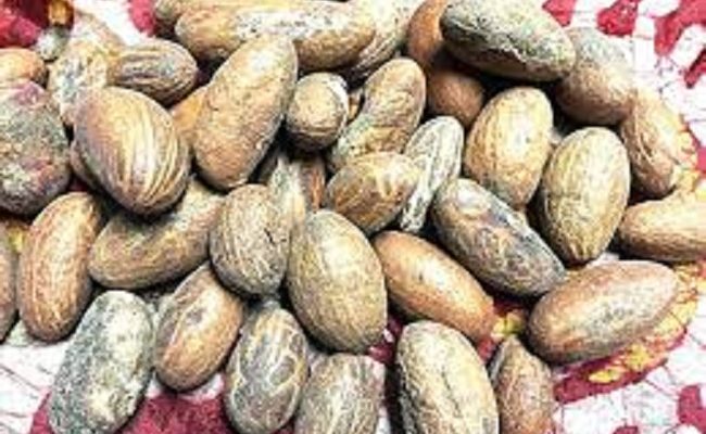 Inclusion of bitter kola, bitter leaf in diet can improve TB cure rate — Experts