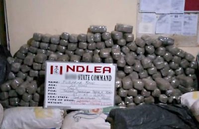 NDLEA Intercepts Hard Drugs From US, Arrests Suspect In Lagos Airport