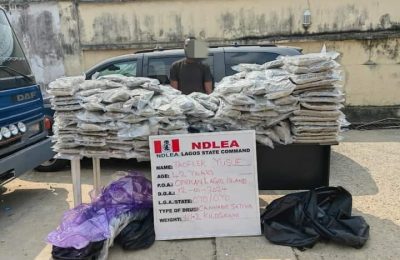 NDLEA Nabs Man With Canadian Loud, Seizes Tramadol Pills In Lagos