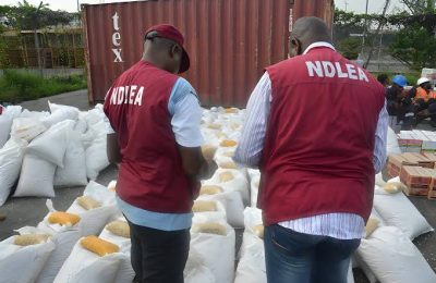 NDLEA arrests 198 drug suspects at graveyard, joints in Kano