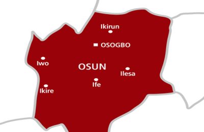 NGO donates food items to households in Osun community