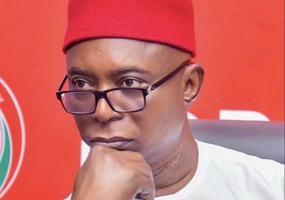 Ned Nwoko proposes bill for Nigerians to own guns