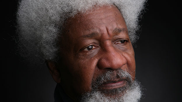 There Was Plan To Annul 2023 Presidential Election By Those Requesting Interim Govt. – Soyinka