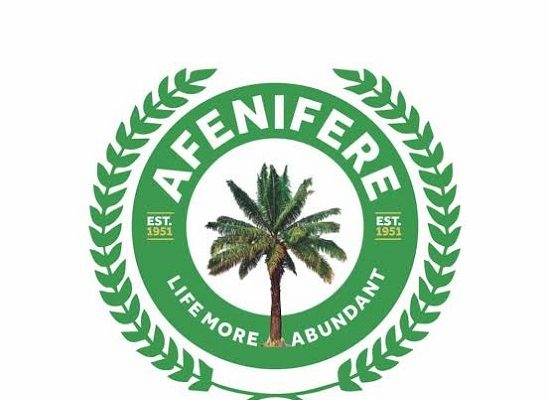 UK Afenifere urges South-West govts to improve security