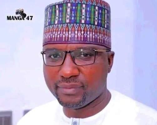 Yobe gov commiserates with Zulum over death of media aide, Gusau