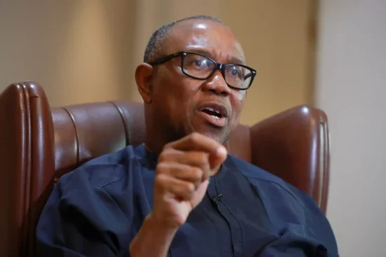 Attacks on BDCs wrongly directed, will escalate FX crisis — Peter Obi