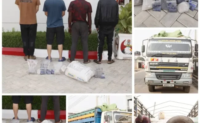 EFCC arrests 48 suspects in two weeks