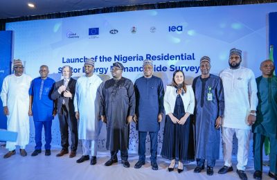 EU, FG launch energy demand survey in residential sector