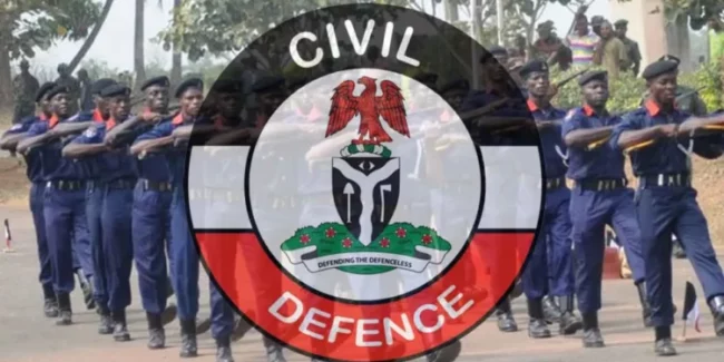 NSCDC arrests,