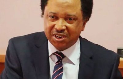 Over 10,000 schools shut due to kidnapping, terrorism in the North, says Shehu Sani