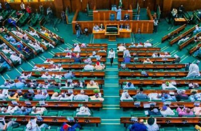 Reps quiz AGF over N33.3trn asset liability