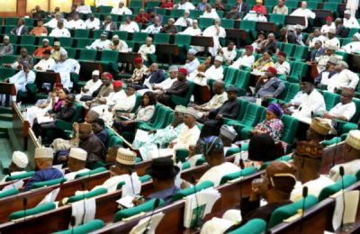 Reps task IGP, PSC chairman on community policing