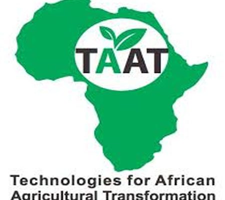 TAAT hosts Nigerian stakeholders in second wheat seed production workshop