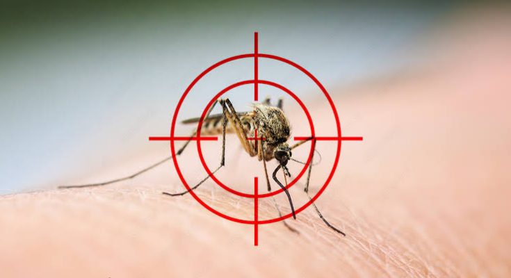 6 natural ways to keep mosquito away from your home