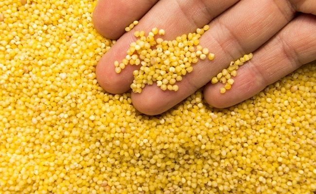 Millet-based diet can lower risk