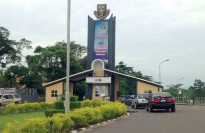 NANS calls for investigation into illegal mining in OAU