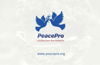 NYCN, PeacePro partner to propagate peace