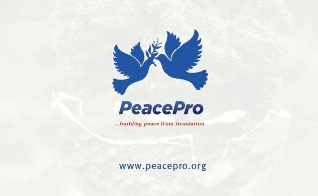 NYCN, PeacePro partner to propagate peace