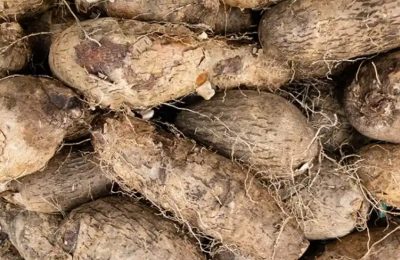 Nigerians May Soon Start Importing Yams From China – Agriculture Ministry