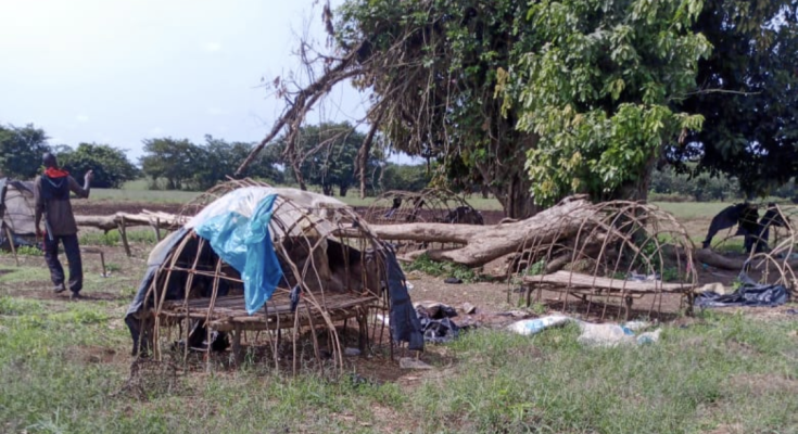 Remains of six slain cops recovered in Delta forest