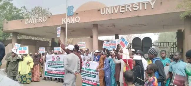 SSANU, NASU strike disrupts BUK students’ exams