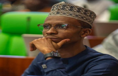 State assemblies should hold Northern governors accountable — Bello Elrufai