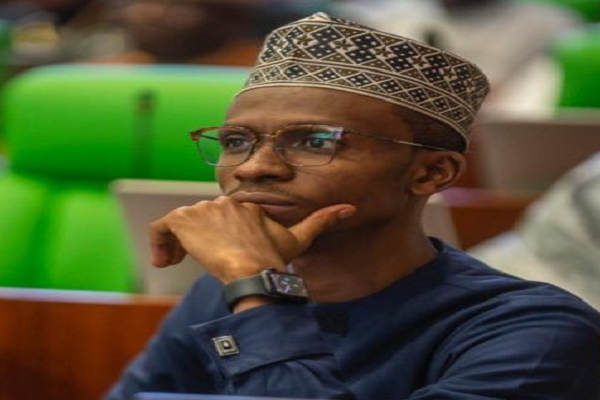 State assemblies should hold Northern governors accountable — Bello Elrufai