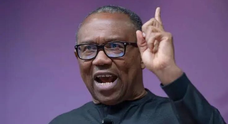 Why I ignored Labour Party national convention — Peter Obi