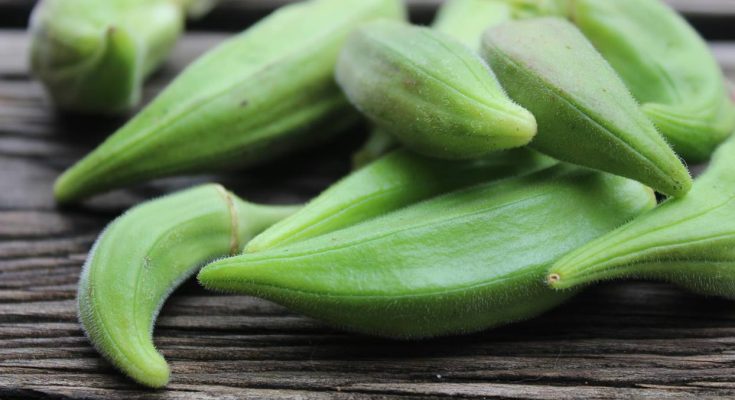 ‘Improved libido, hormonal balance’: Discover 6 health benefits of Okro water