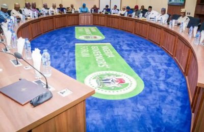 Decisions, Reports Of 20 Governors'll Be Ready By May – NGF