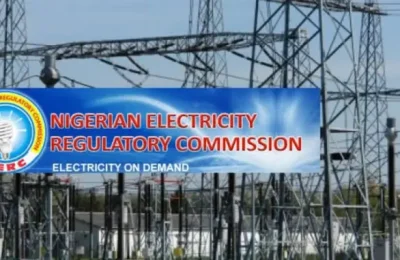 FG needs N3.2trn for electricity subsidy in 2024 — NERC