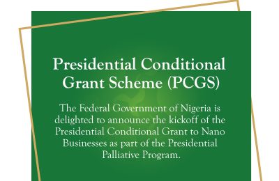 How entrepreneurs can apply for the Presidential Conditional Grant Scheme