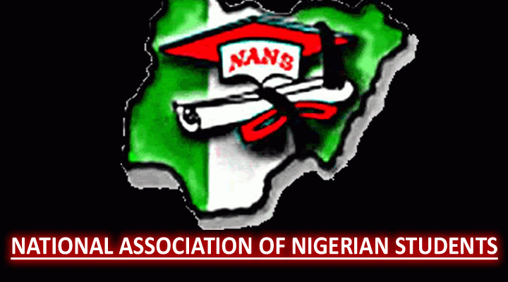 'Kyari, Adelabu Must Go' — NANS Says, Mulls Nationwide Protest Over Fuel Scarcity, Electricity Tariff Hike