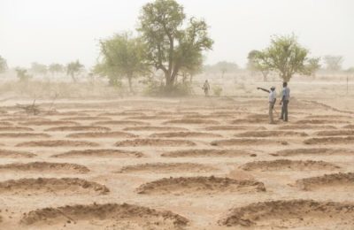 Nigeria to restore 4 million hectares of degraded lands