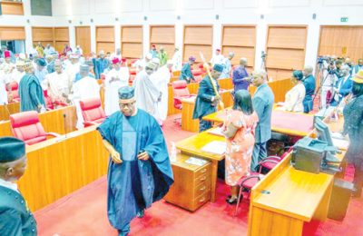 Ningi Constitution Review As NASS continues