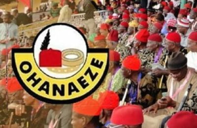 Ohaneze moves to modernise Igbo apprenticeship system