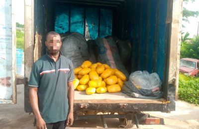 Police intercept man with 30 sacks of Indian hemp in Lagos
