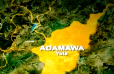 Suspected Measles Outbreak Kills 19 Children In Adamawa