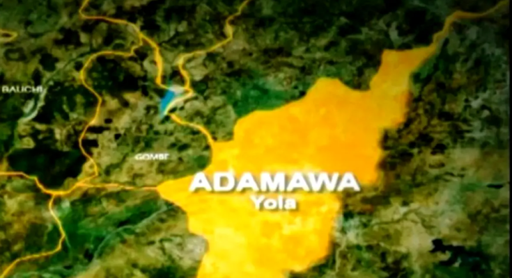 Suspected Measles Outbreak Kills 19 Children In Adamawa