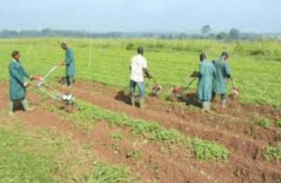 Wet season farming Emir of Keffi seeks government support for