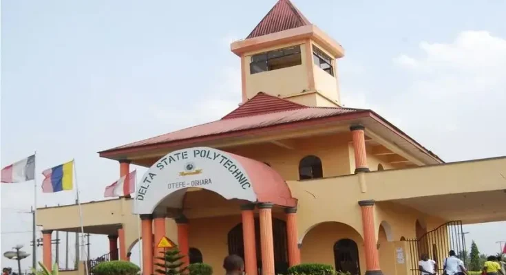 'We've 30 fully accredited courses at Delta Poly — Rector
