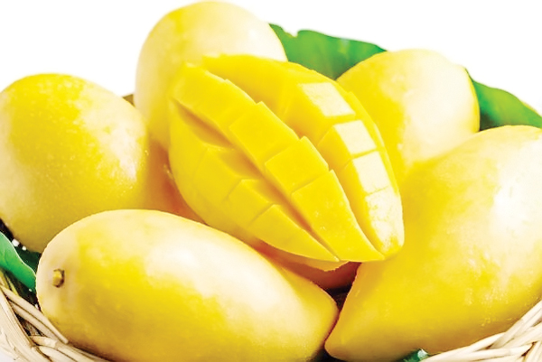 Daily mango intake - Tribune Online