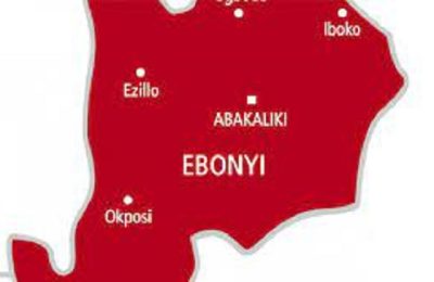 Ebonyi, brother beaten, Police arrest suspects, Ebonyi