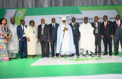 Governors, experts advocate transparent tax system to boost compliance, IGR