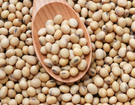 Increased quality yield of soybean production towards reviving a