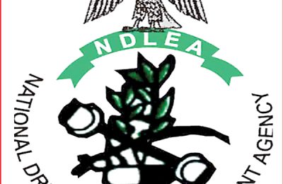 NDLEA declares couple wanted, arrests four cartel members