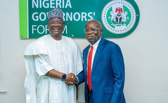 NGF appoints Shittu as acting Director General